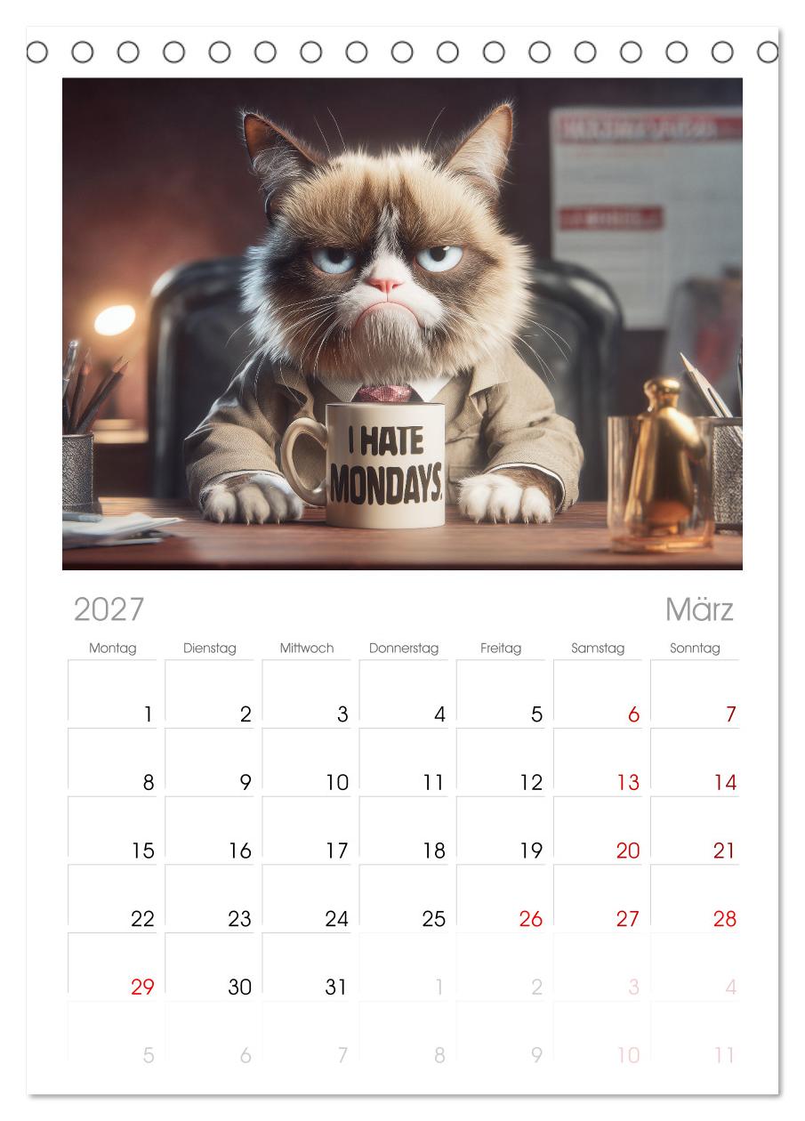 Miau mit Stil