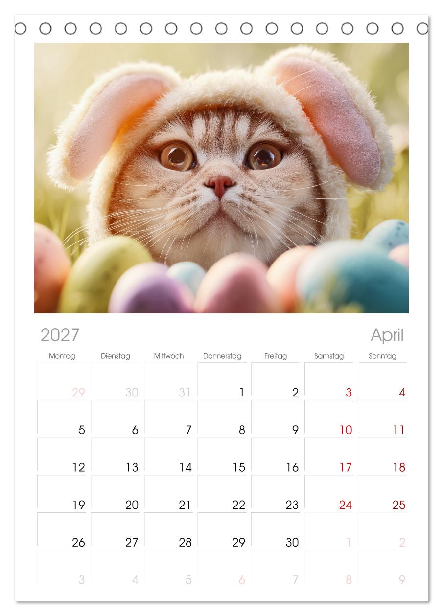 Miau mit Stil