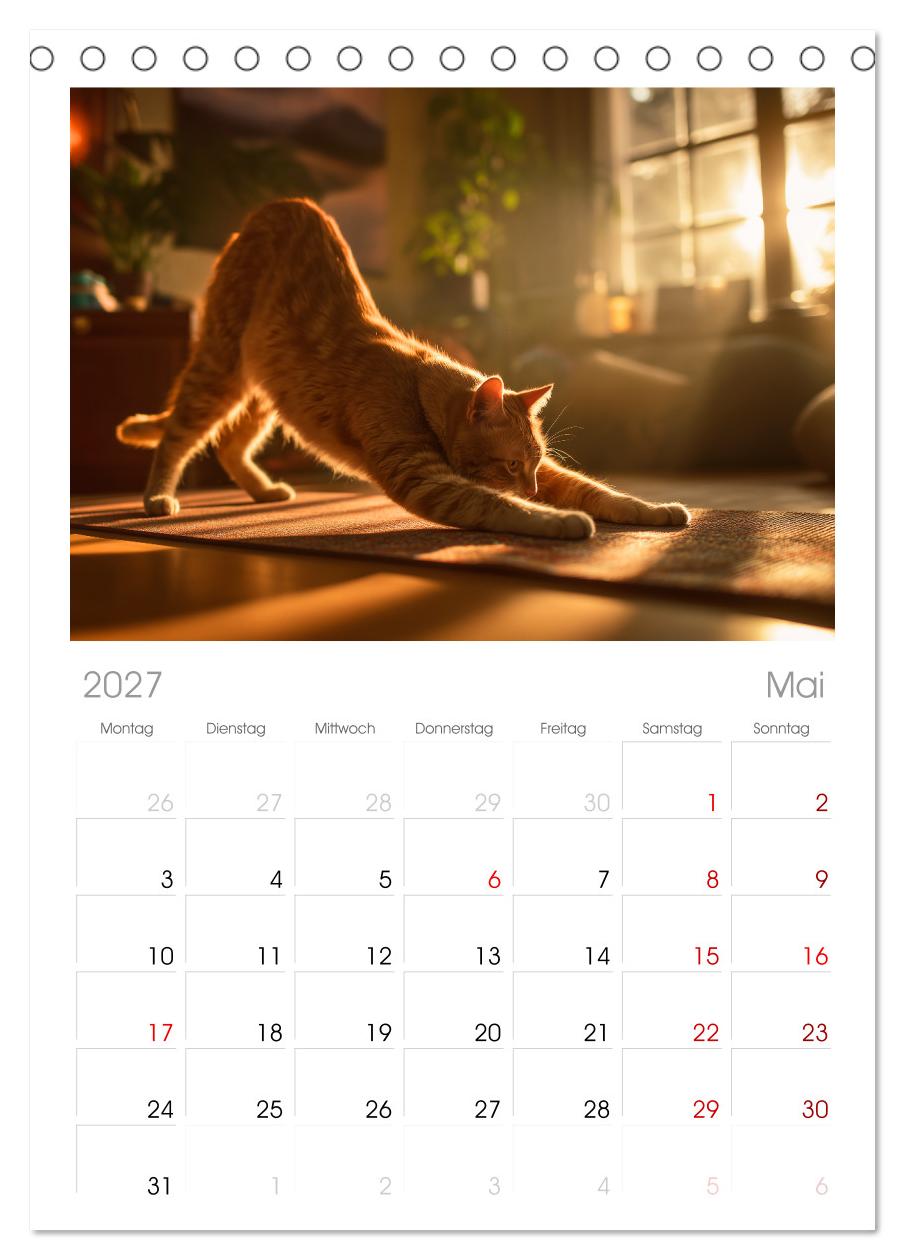 Miau mit Stil