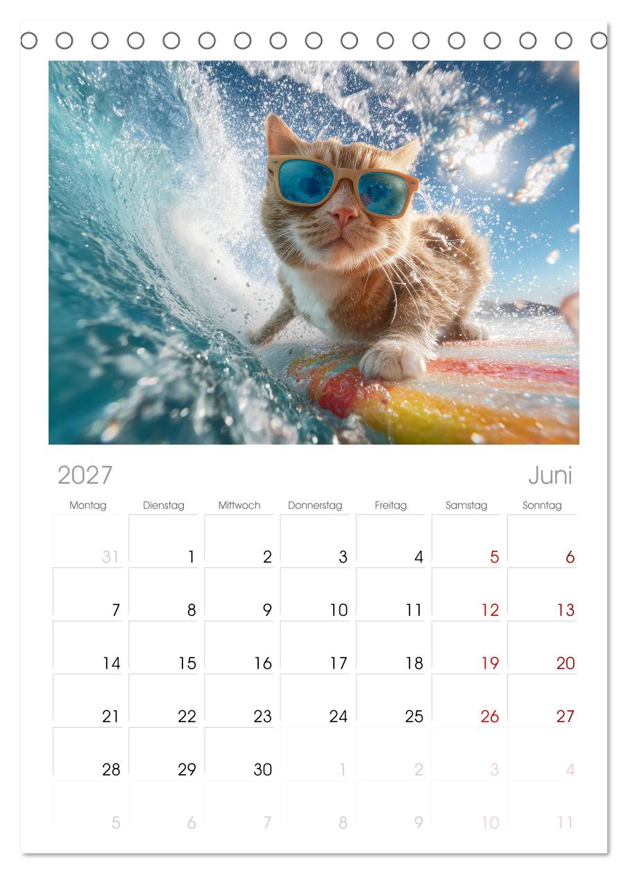 Miau mit Stil