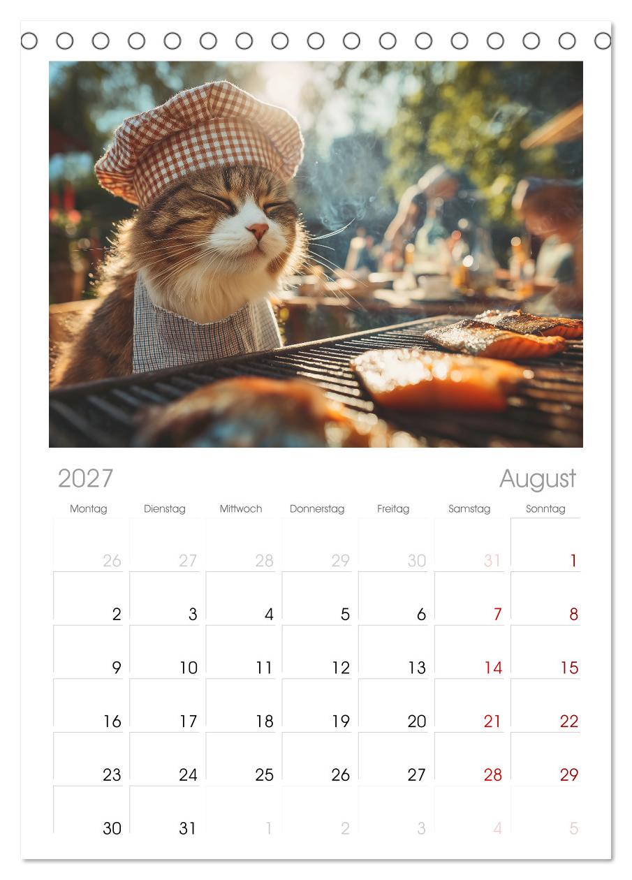 Miau mit Stil