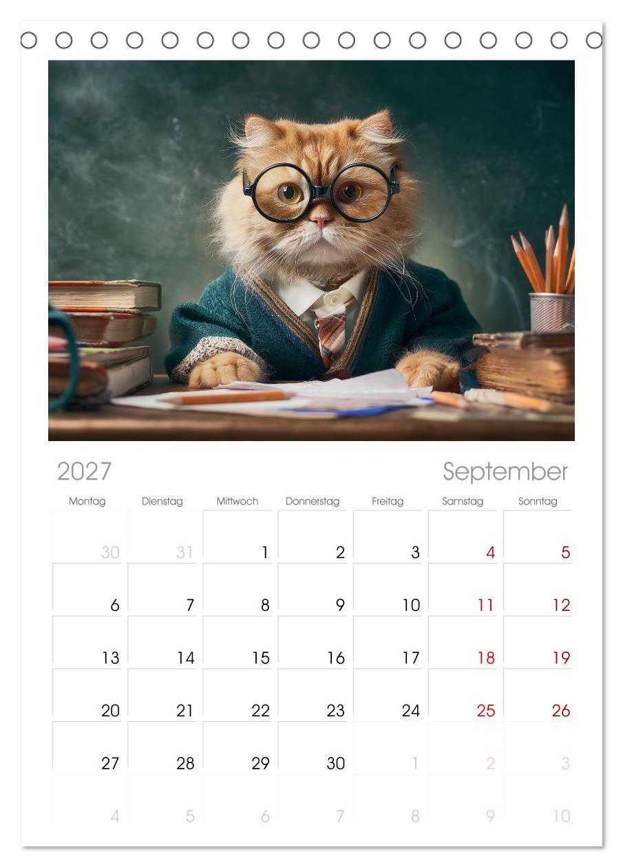 Miau mit Stil