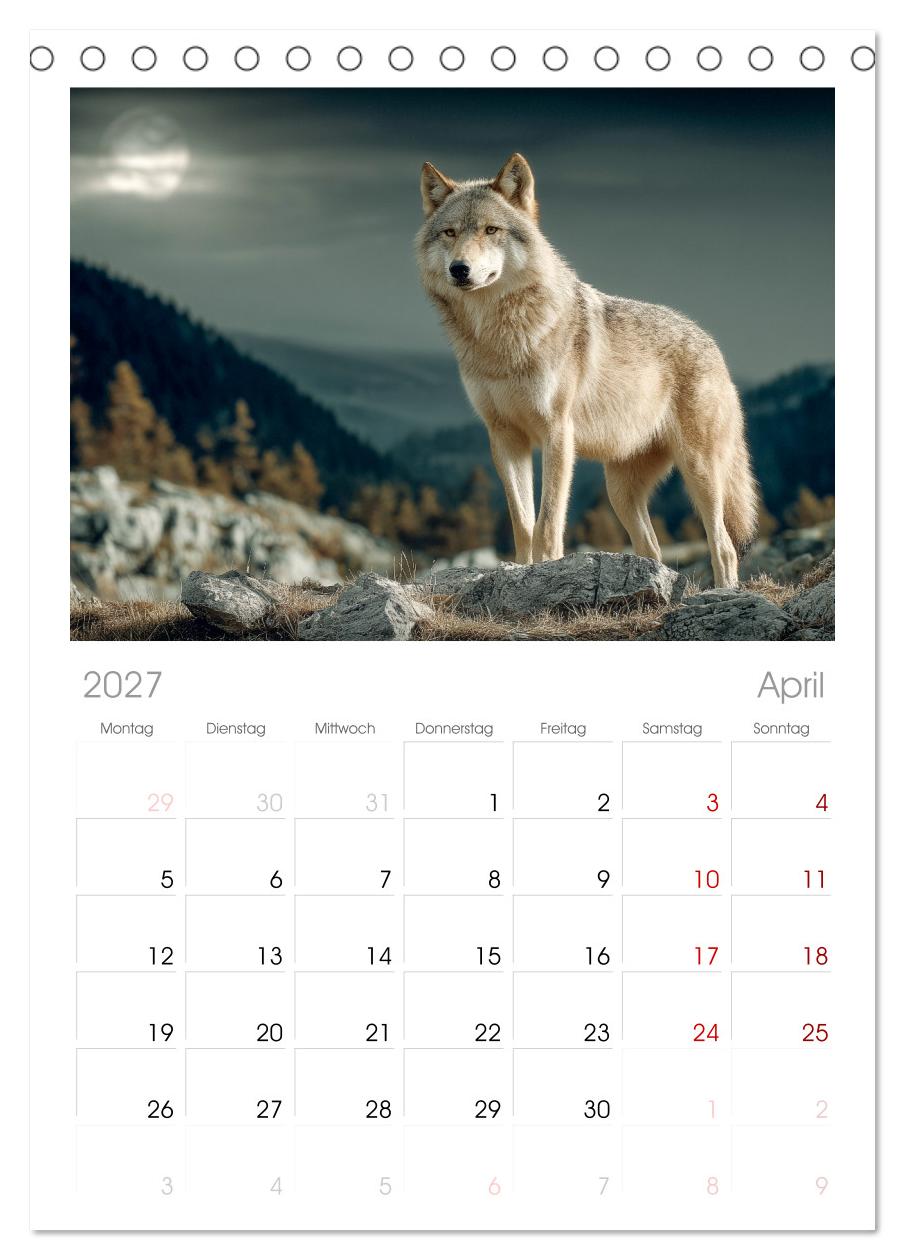Wölfe im Mondlicht - Ruf der Wildnis