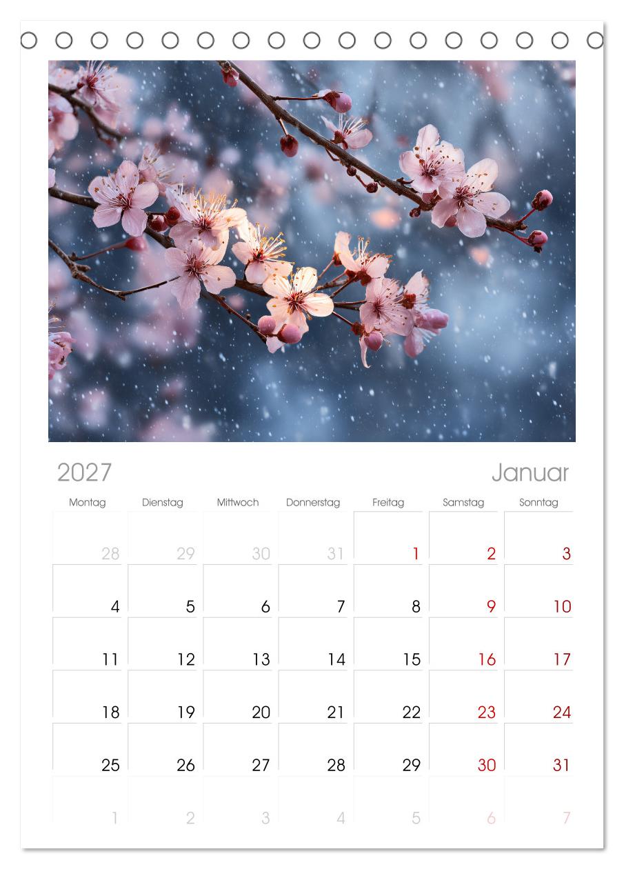 Japanische Kirschblüte