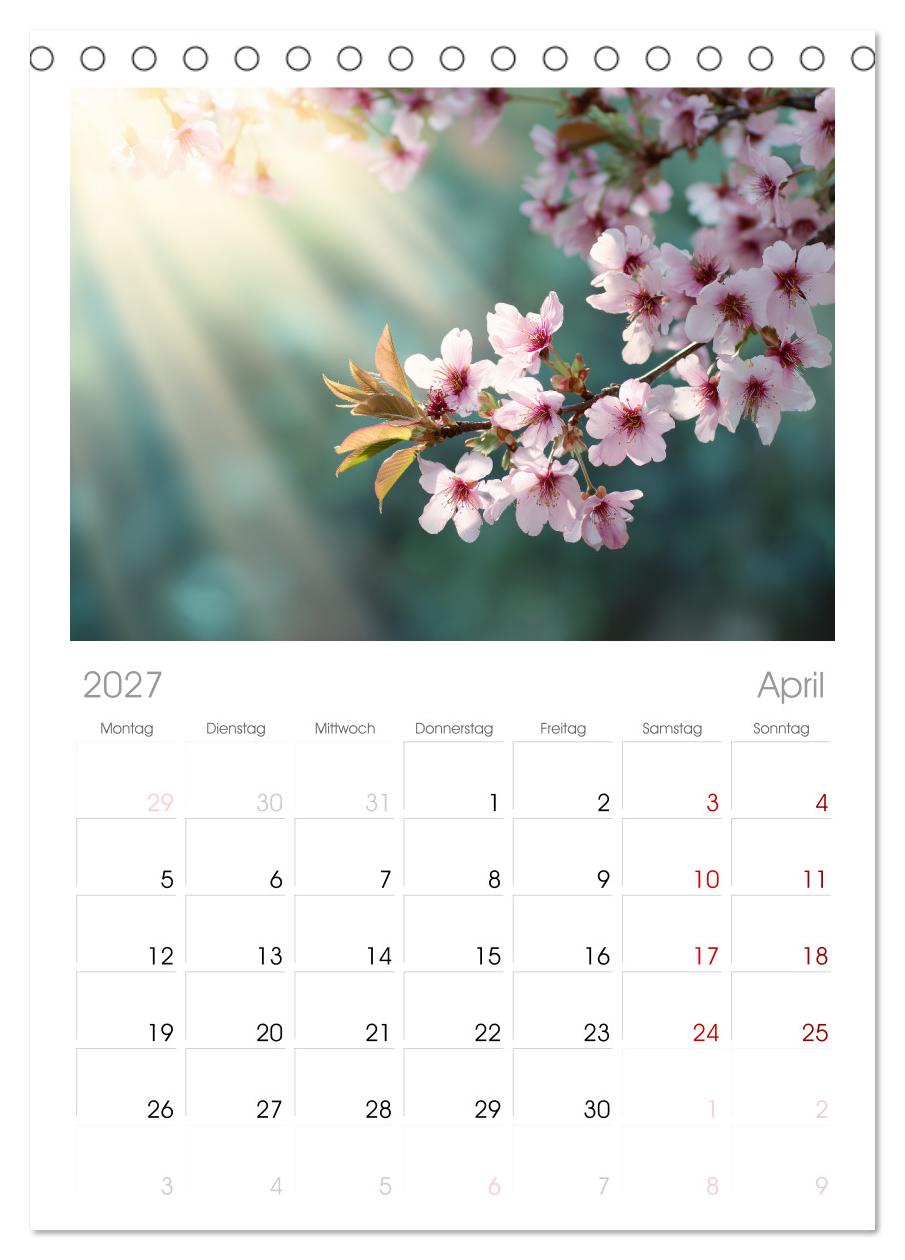 Japanische Kirschblüte
