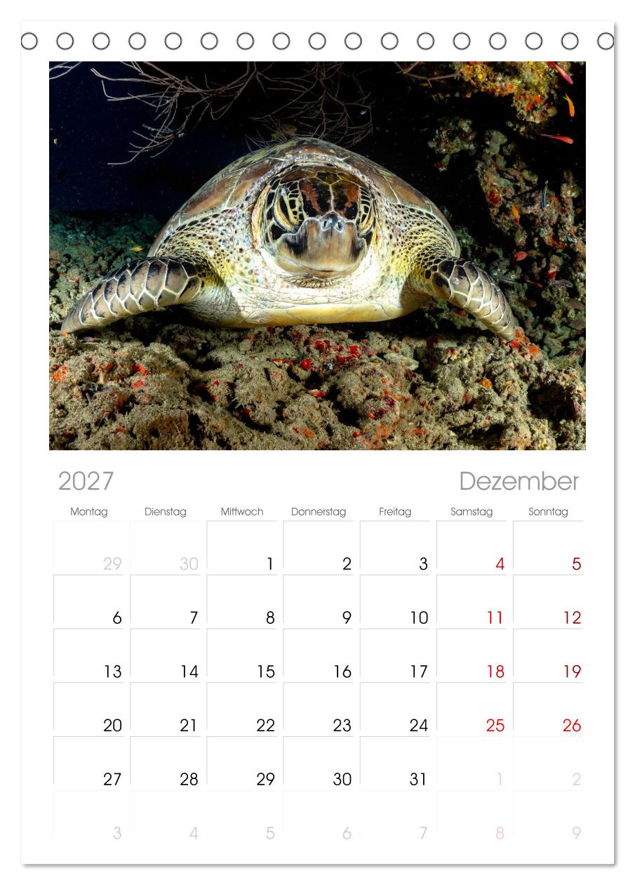 Unterwasserwelt Christmas Island
