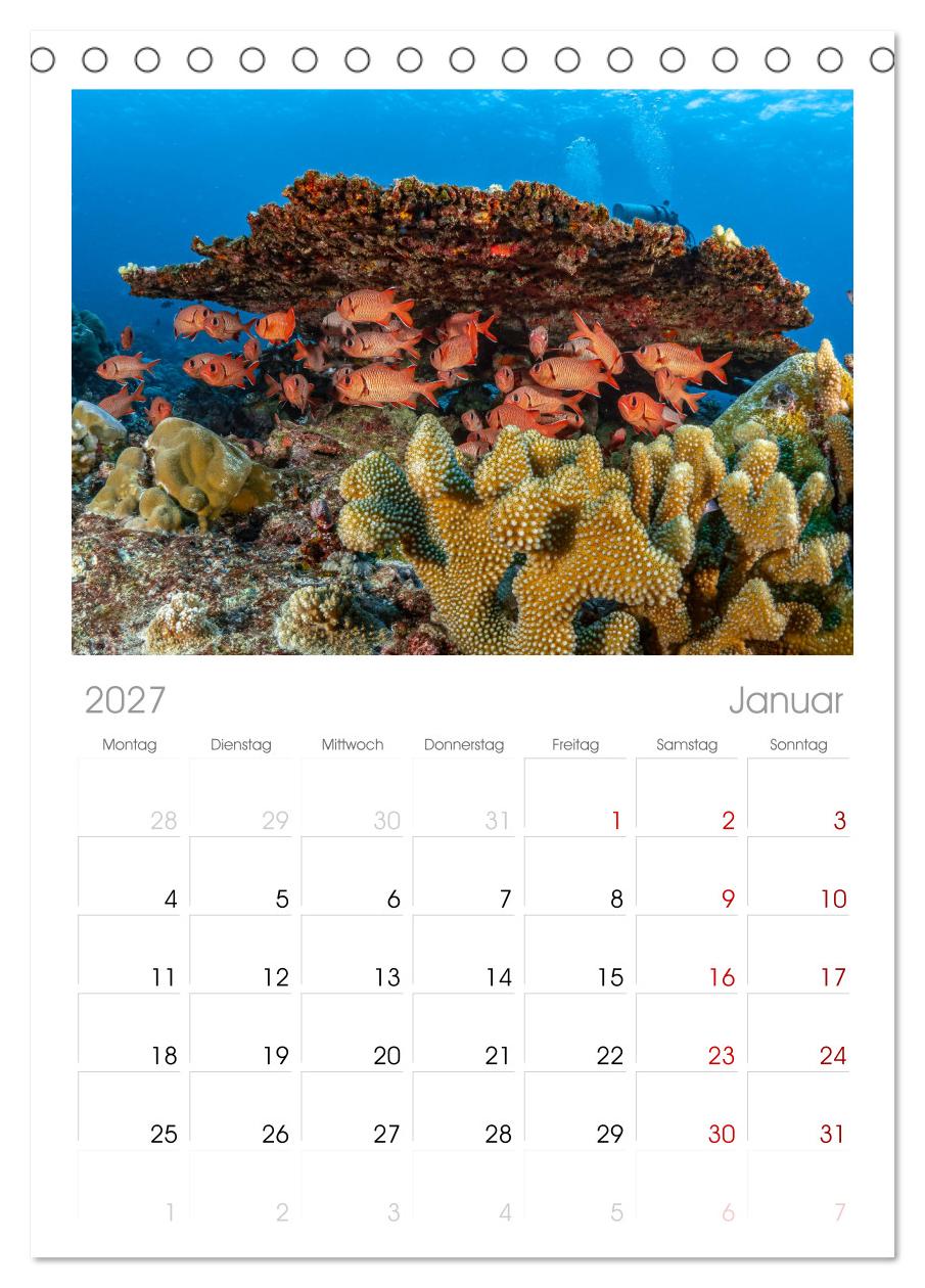 Unterwasserwelt Christmas Island