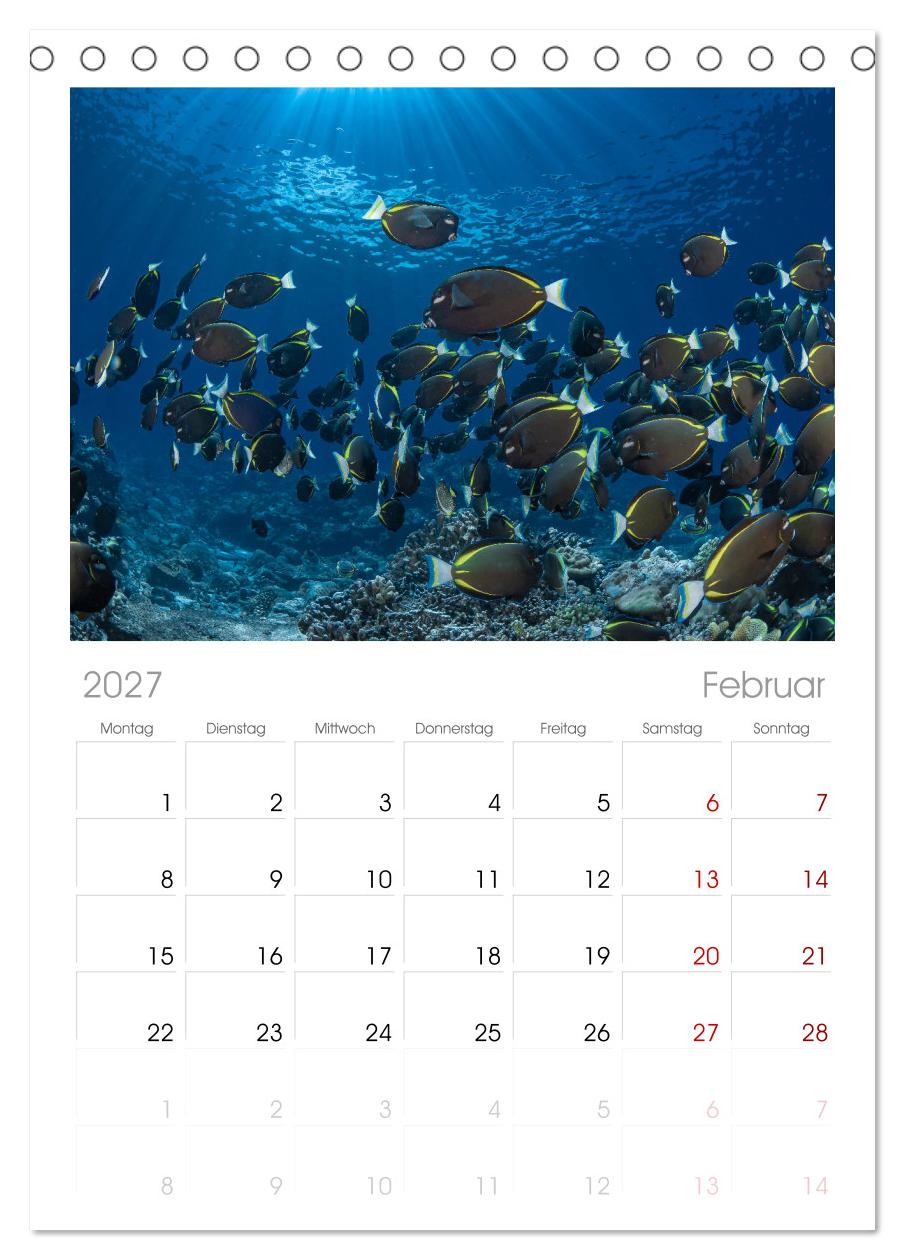 Unterwasserwelt Christmas Island