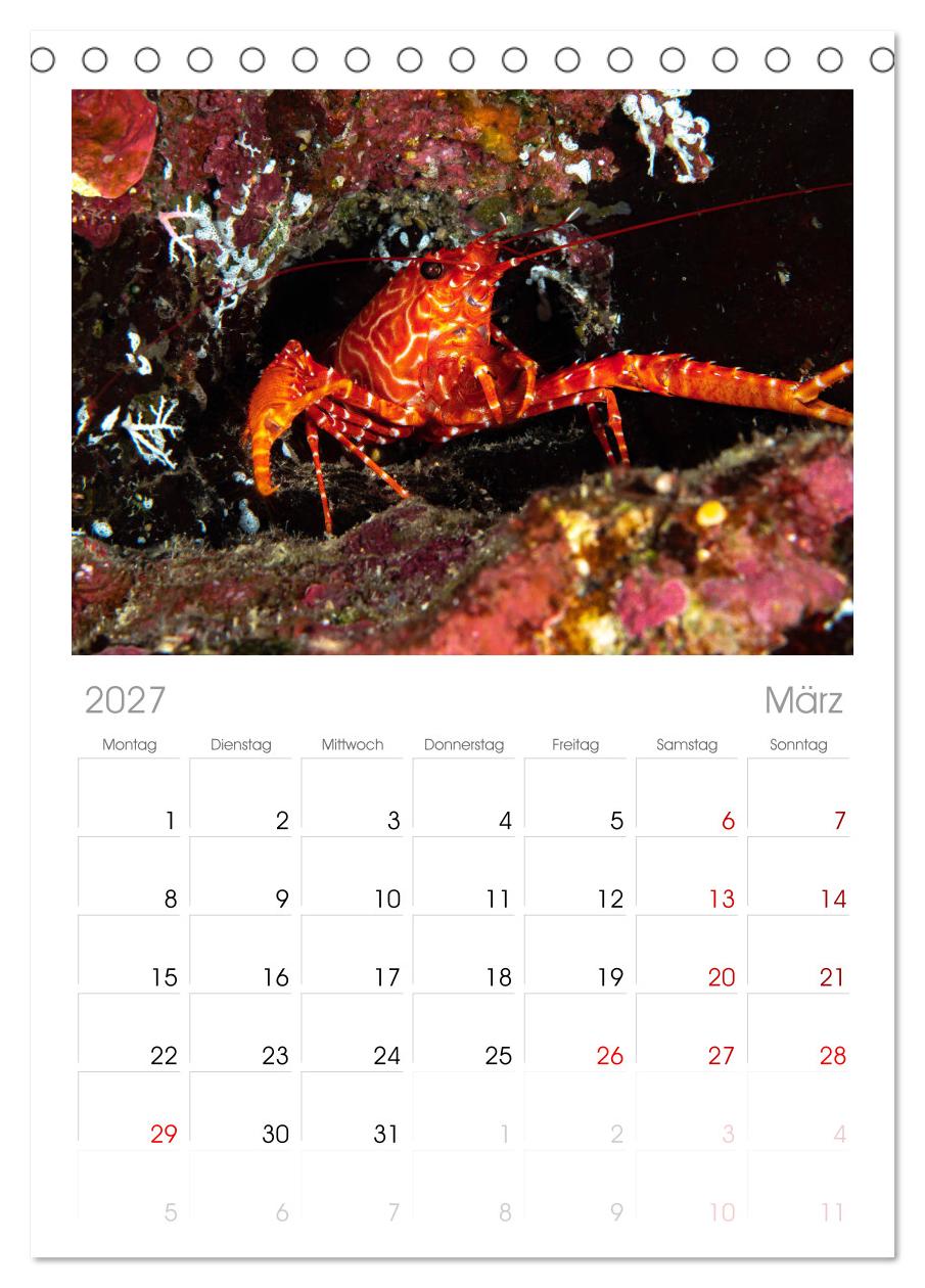 Unterwasserwelt Christmas Island