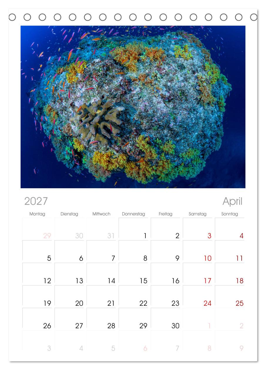 Unterwasserwelt Christmas Island