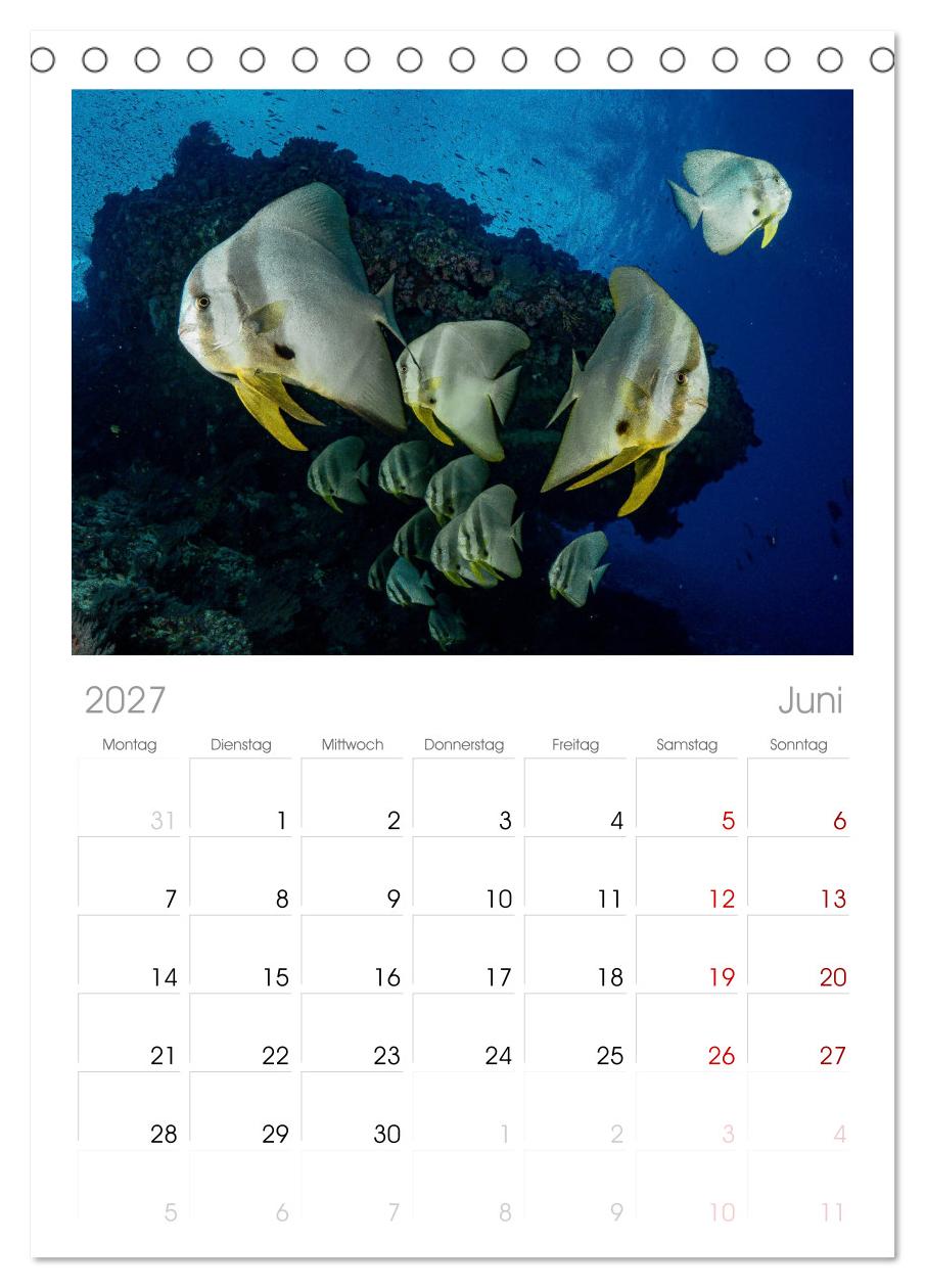 Unterwasserwelt Christmas Island