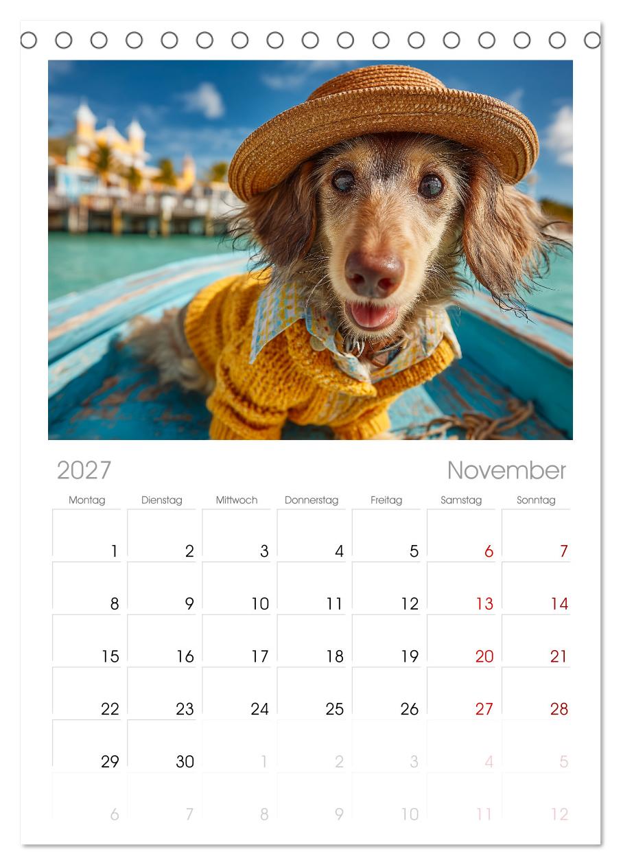 Dackel auf großer Tour - Süße Hunde entdecken die Welt