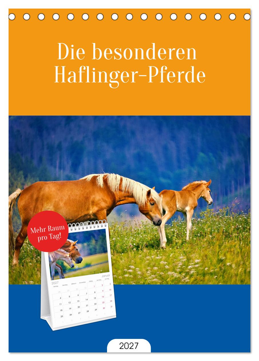 Die besonderen Haflinger-Pferde