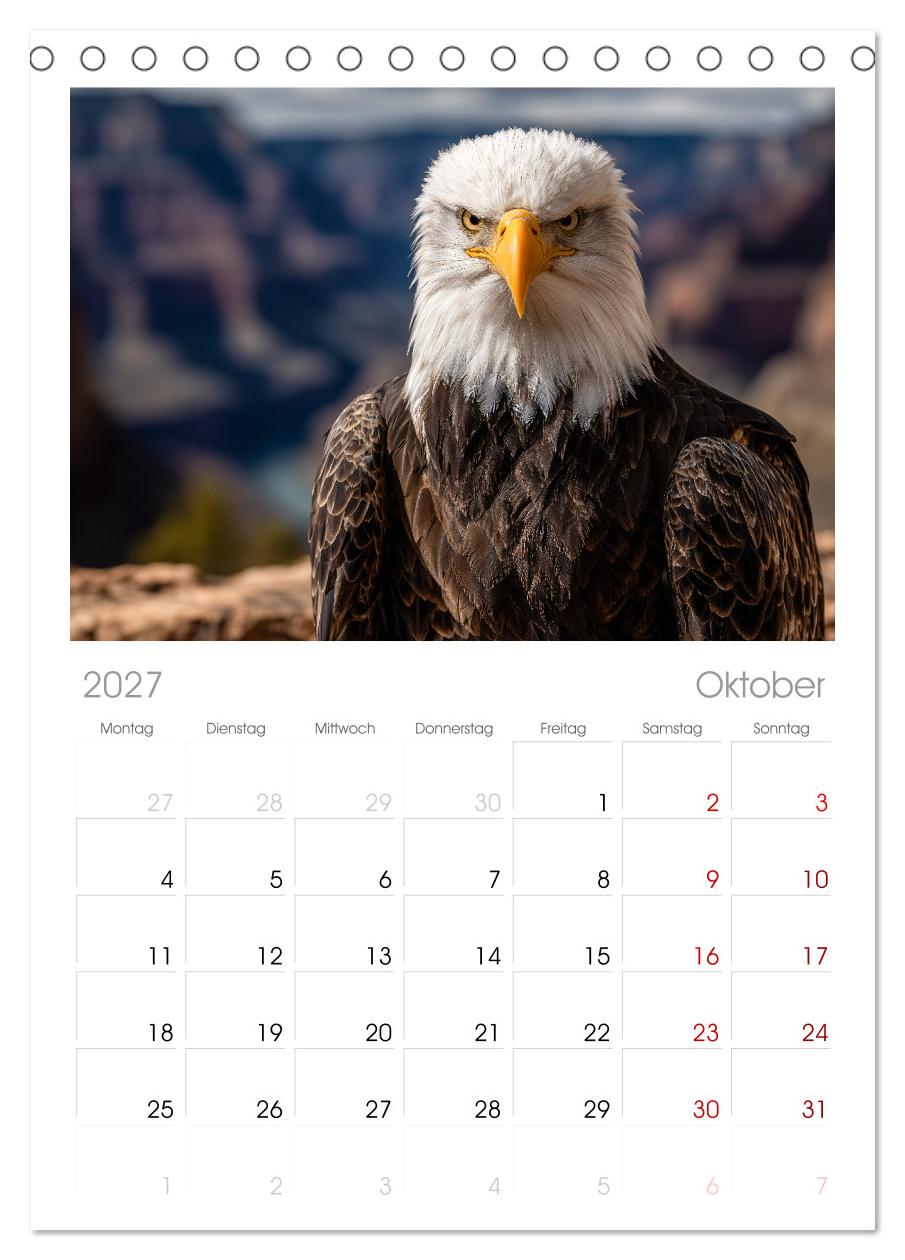 Majestätische Weißkopfseeadler - Der König der Lüfte