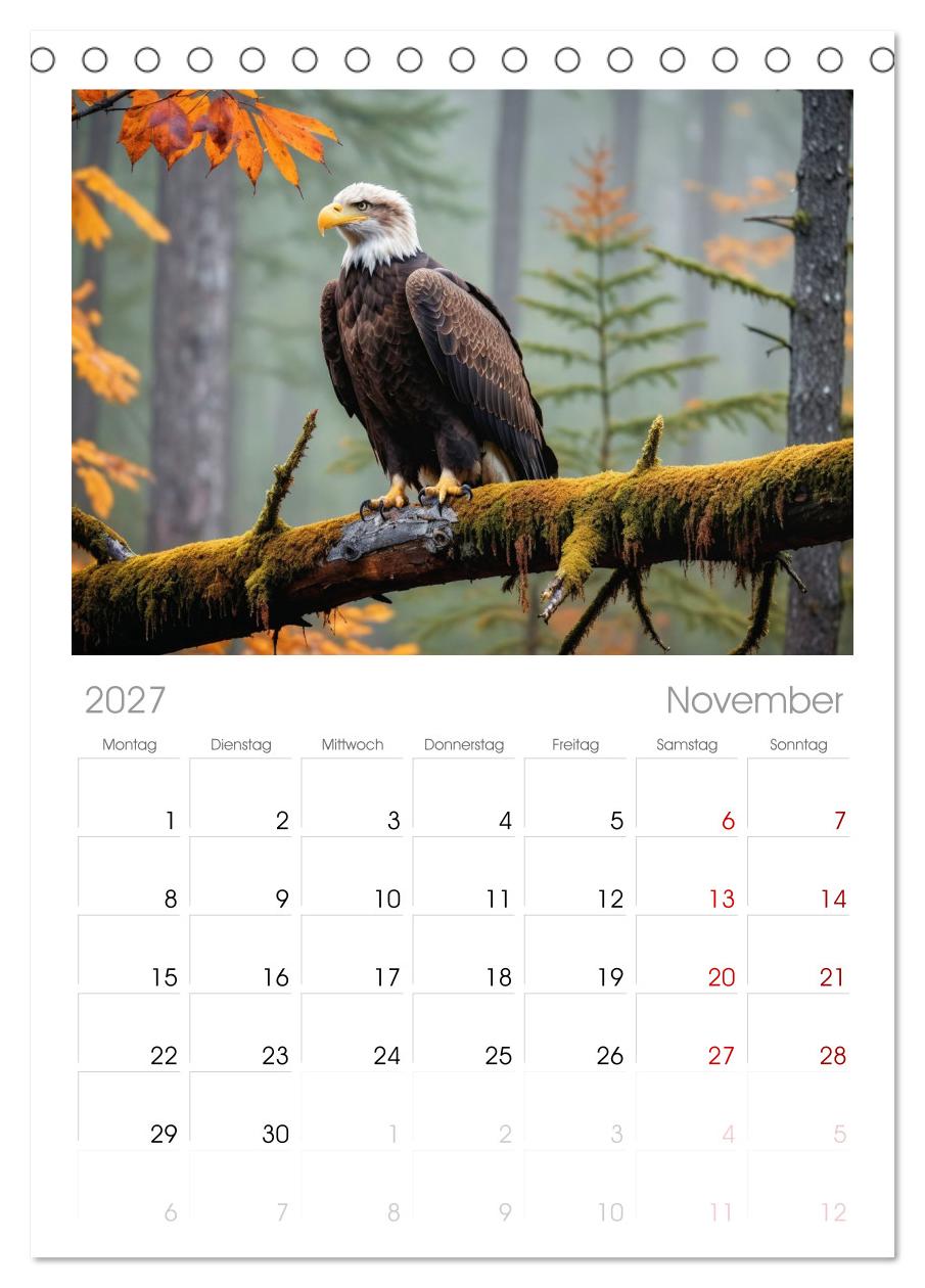 Majestätische Weißkopfseeadler - Der König der Lüfte