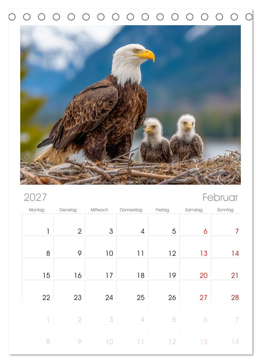 Majestätische Weißkopfseeadler - Der König der Lüfte