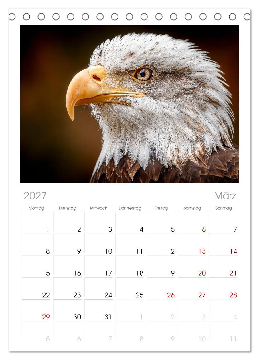 Majestätische Weißkopfseeadler - Der König der Lüfte