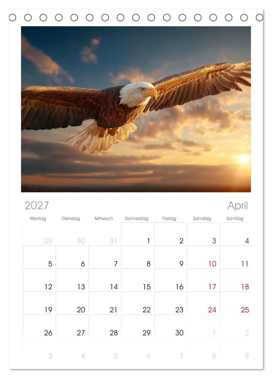 Majestätische Weißkopfseeadler - Der König der Lüfte