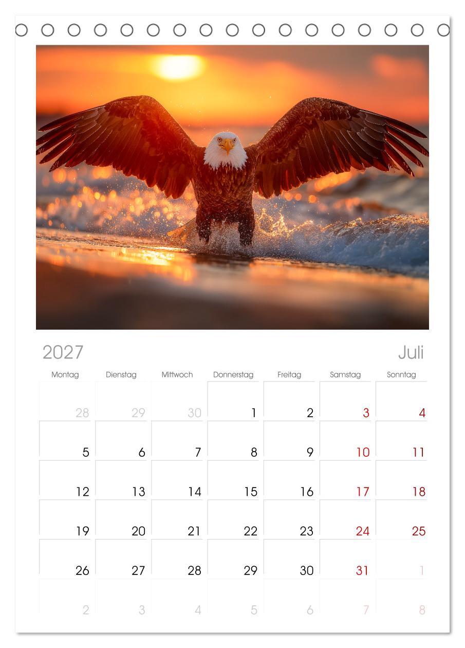 Majestätische Weißkopfseeadler - Der König der Lüfte