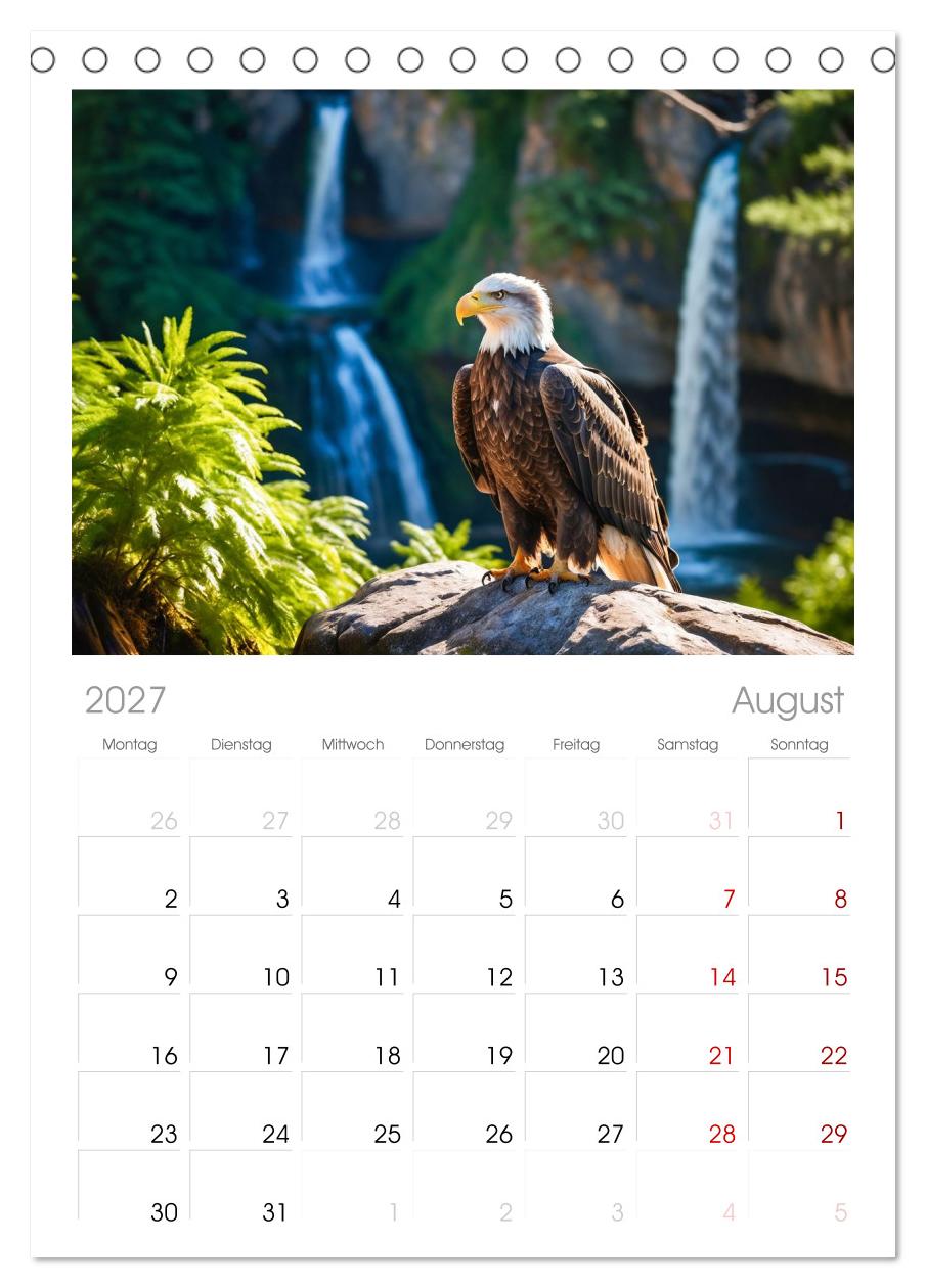 Majestätische Weißkopfseeadler - Der König der Lüfte