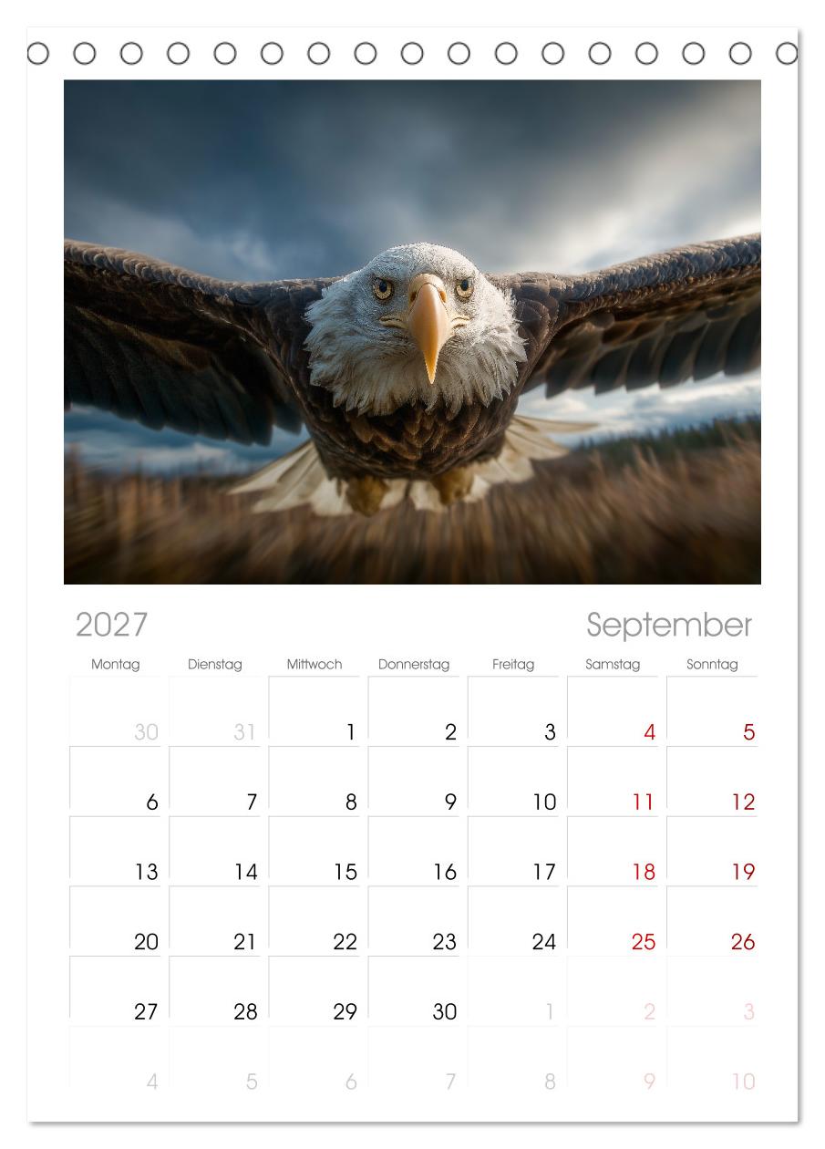 Majestätische Weißkopfseeadler - Der König der Lüfte