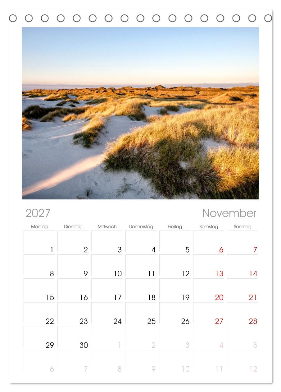 Amrum: Natur und Freiheit