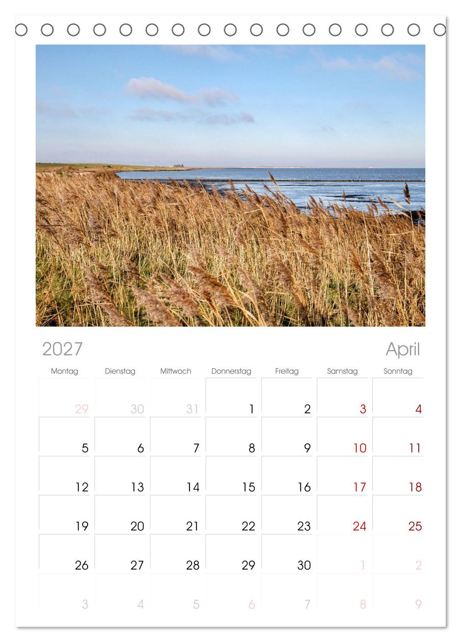 Amrum: Natur und Freiheit