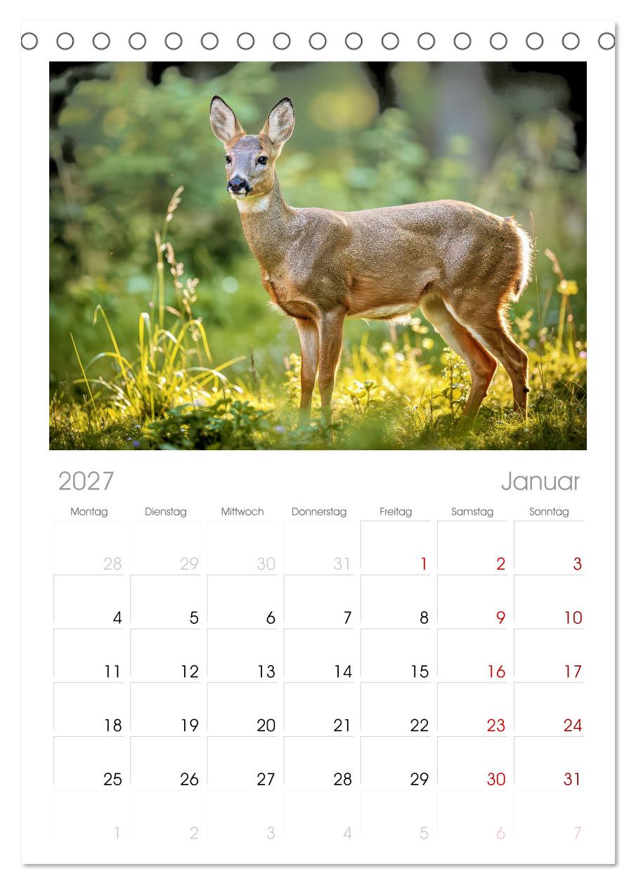 Jäger im Wald
