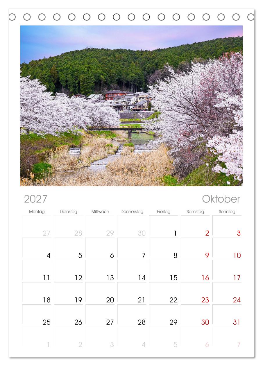 Japans wundervolle Kirschblüte