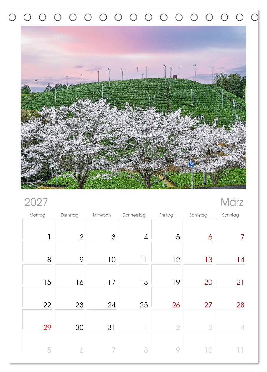 Japans wundervolle Kirschblüte