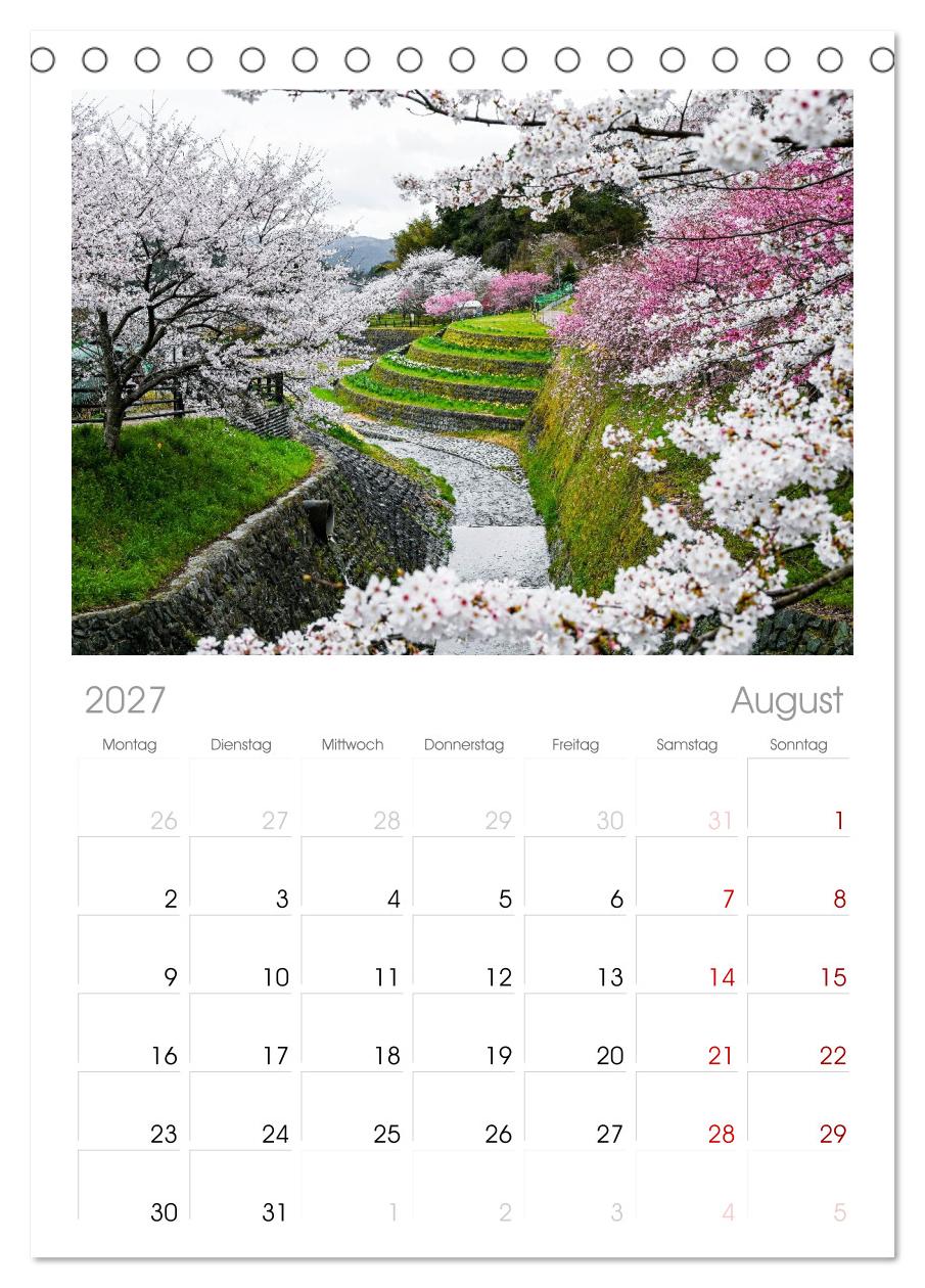Japans wundervolle Kirschblüte