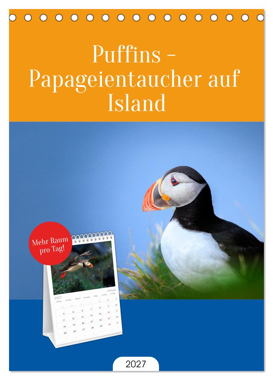 Puffins - Papageientaucher auf Island
