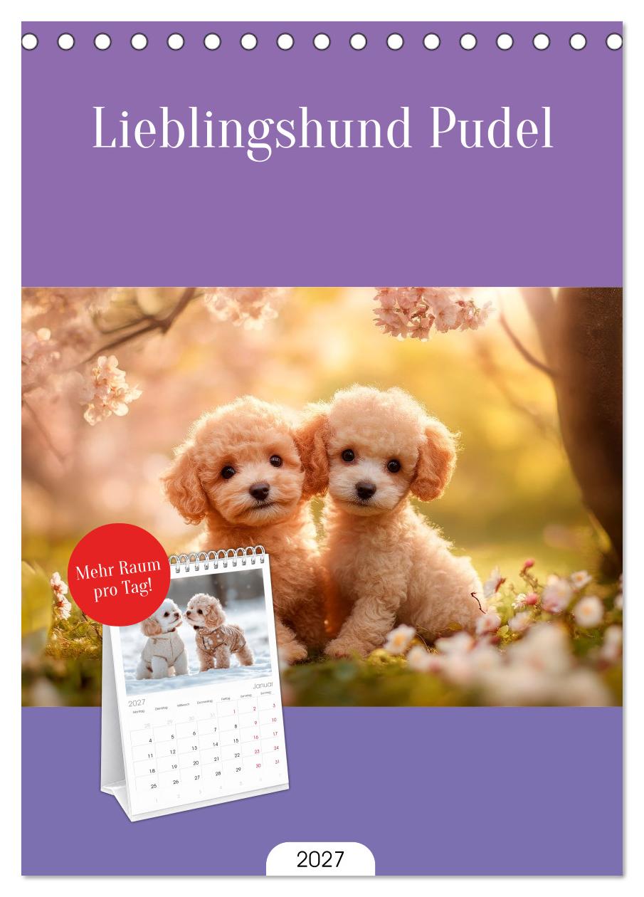 Lieblingshund Pudel