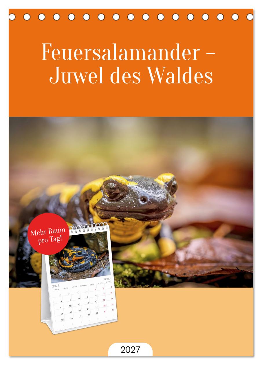 Feuersalamander – Juwel des Waldes