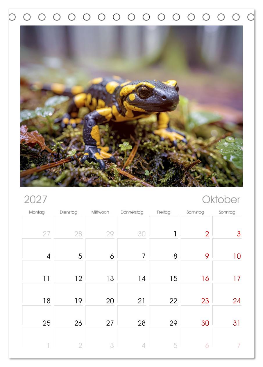 Feuersalamander – Juwel des Waldes