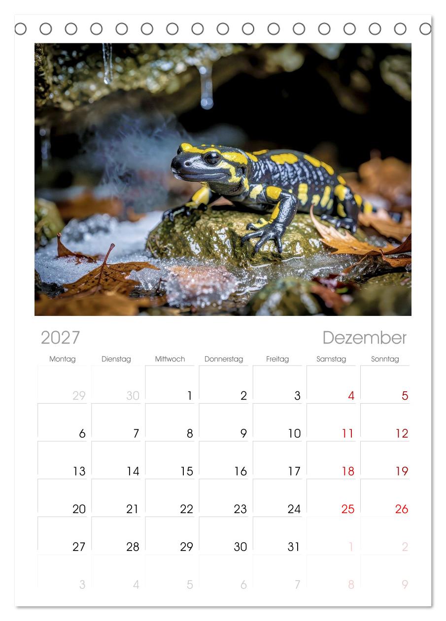 Feuersalamander – Juwel des Waldes