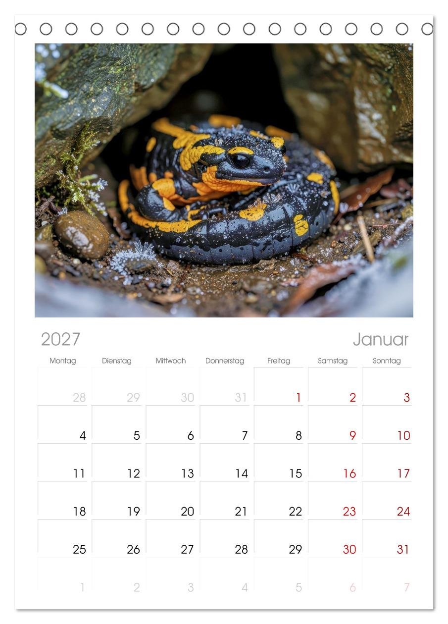Feuersalamander – Juwel des Waldes