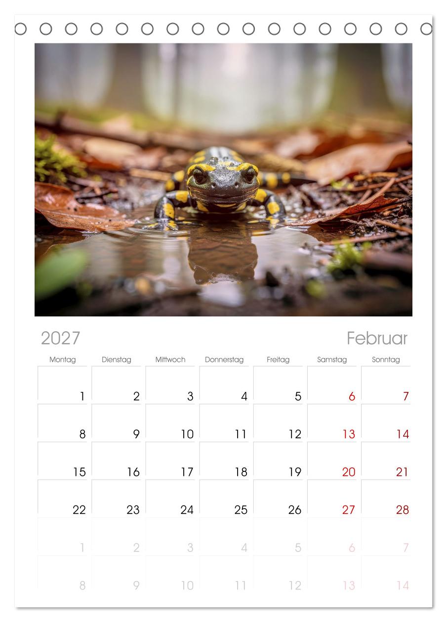 Feuersalamander – Juwel des Waldes