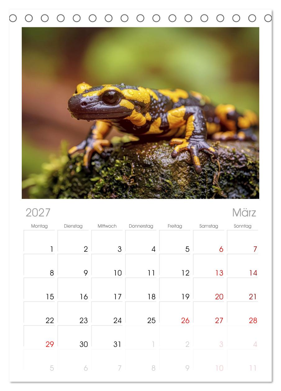 Feuersalamander – Juwel des Waldes