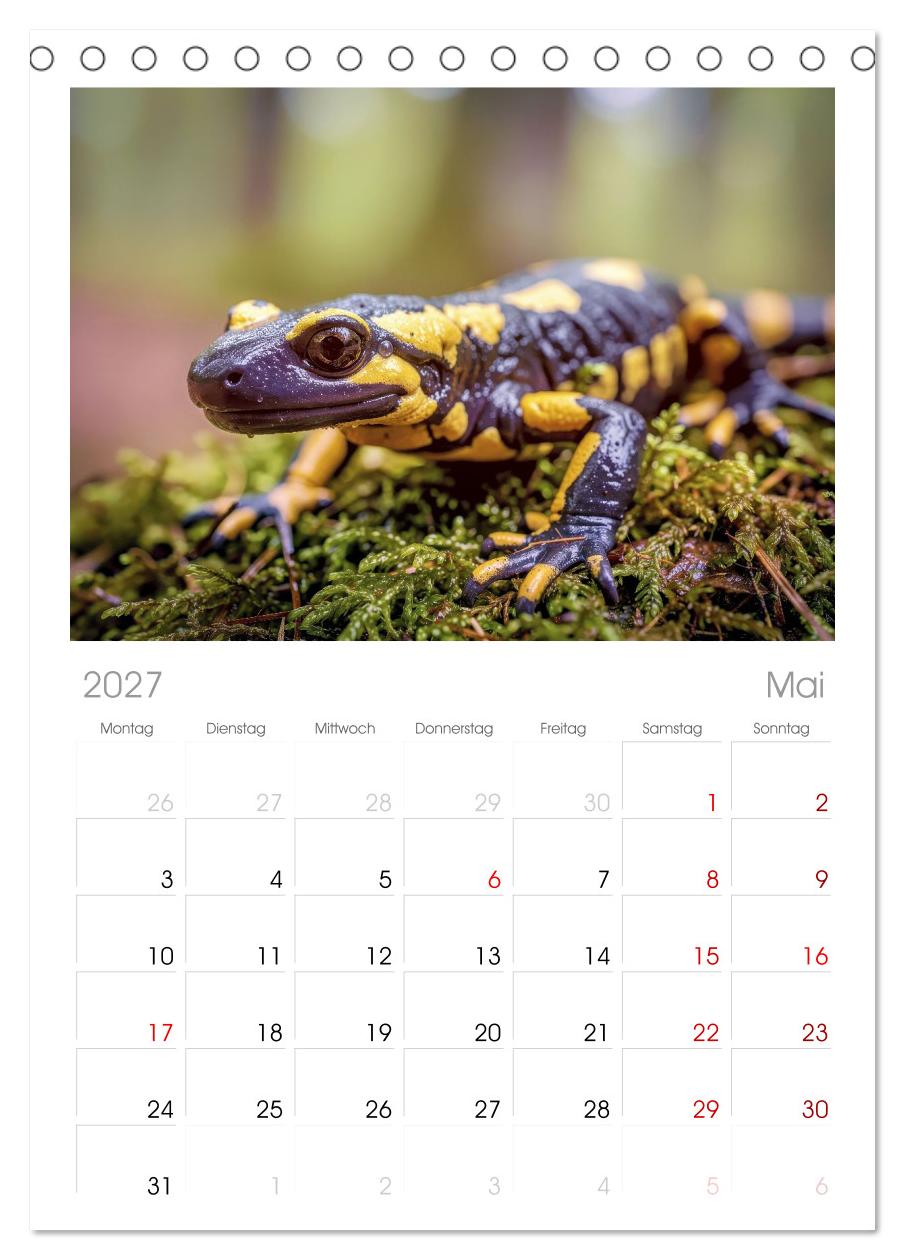 Feuersalamander – Juwel des Waldes