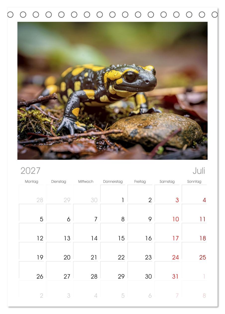 Feuersalamander – Juwel des Waldes