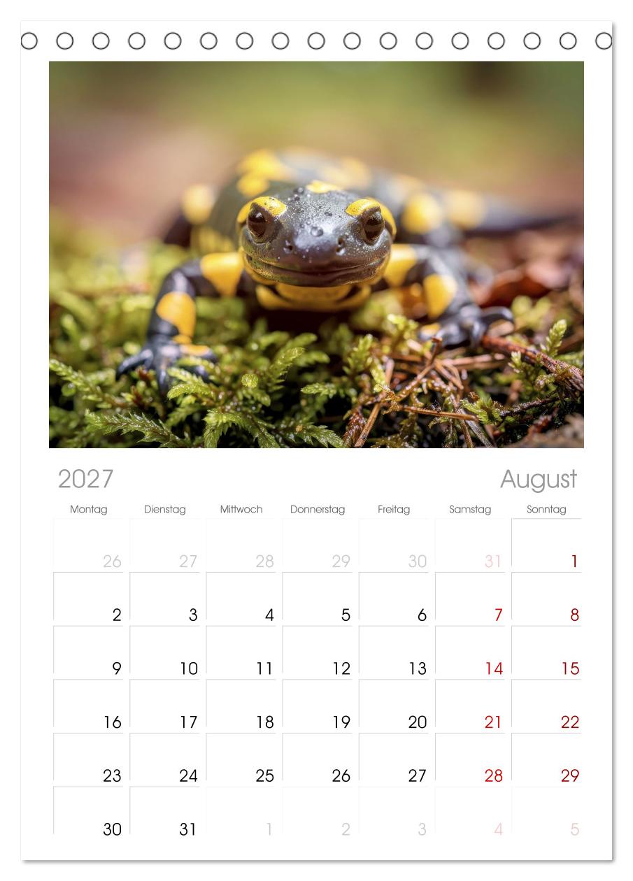 Feuersalamander – Juwel des Waldes