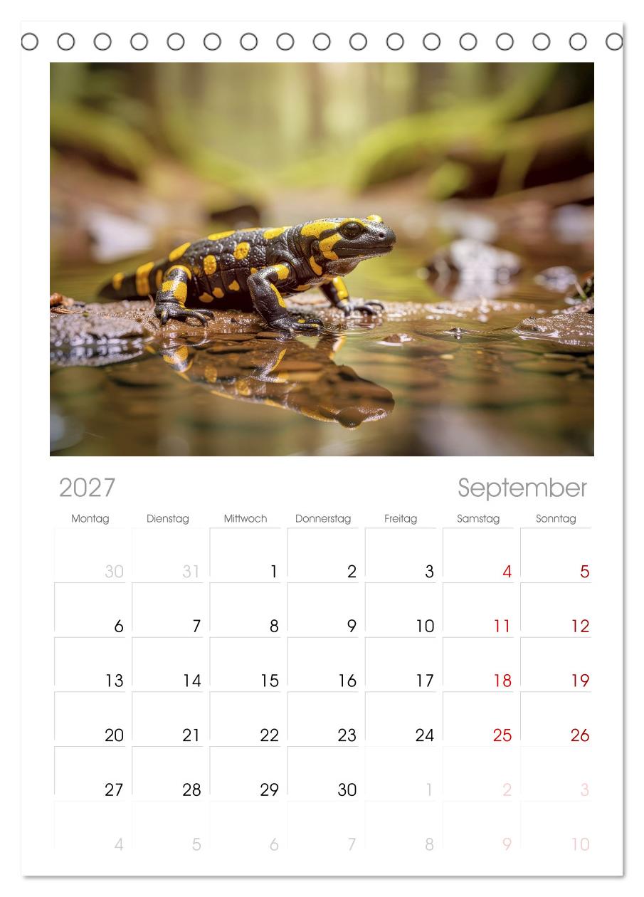 Feuersalamander – Juwel des Waldes