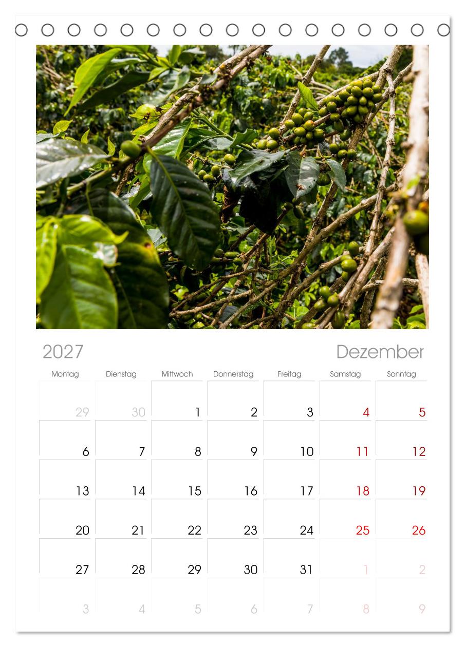 Entdecke Sumatra