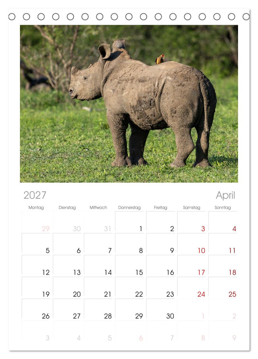 Komm mit auf Safari! Botswana und Südafrika