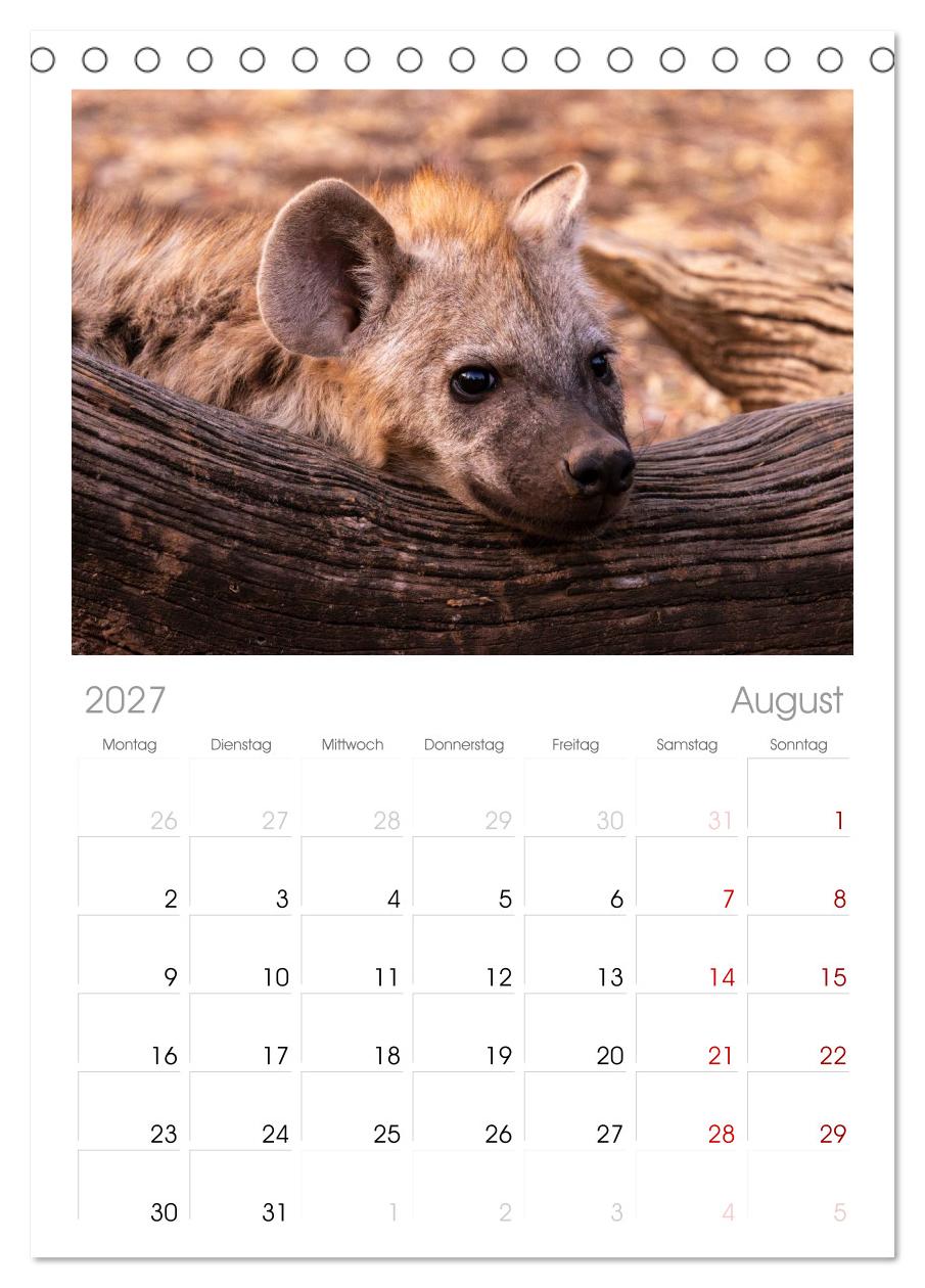 Komm mit auf Safari! Botswana und Südafrika