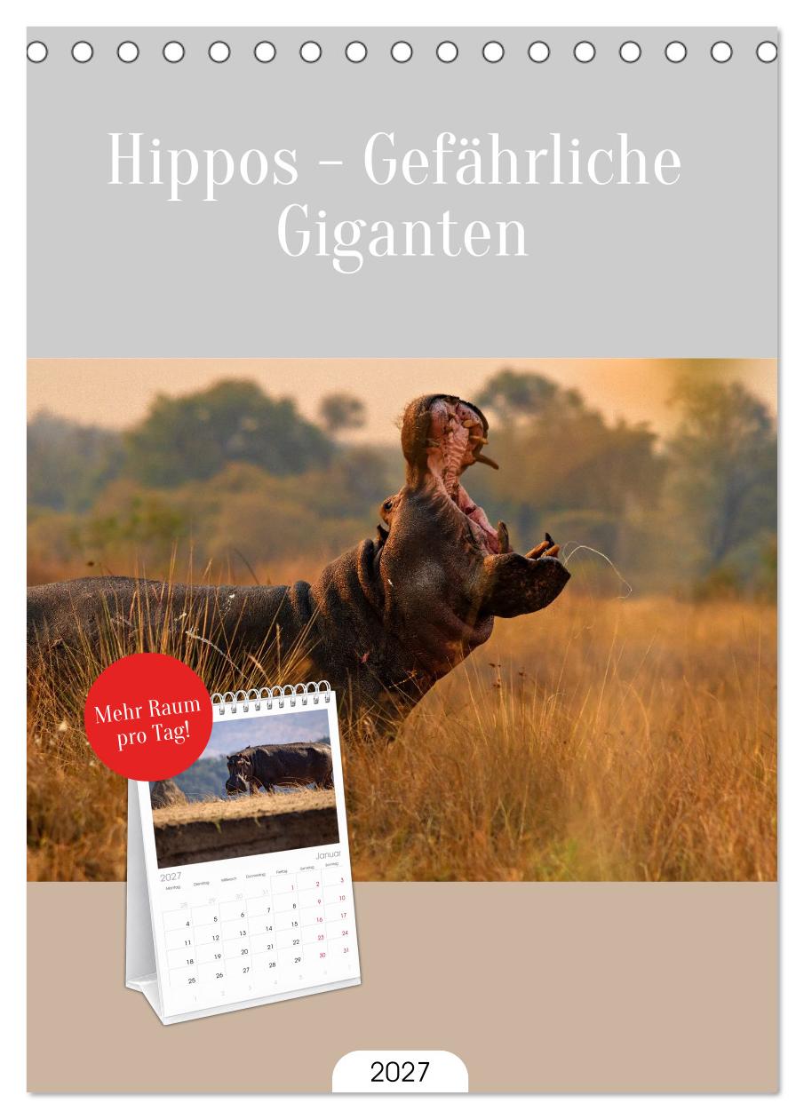 Hippos - Gefährliche Giganten