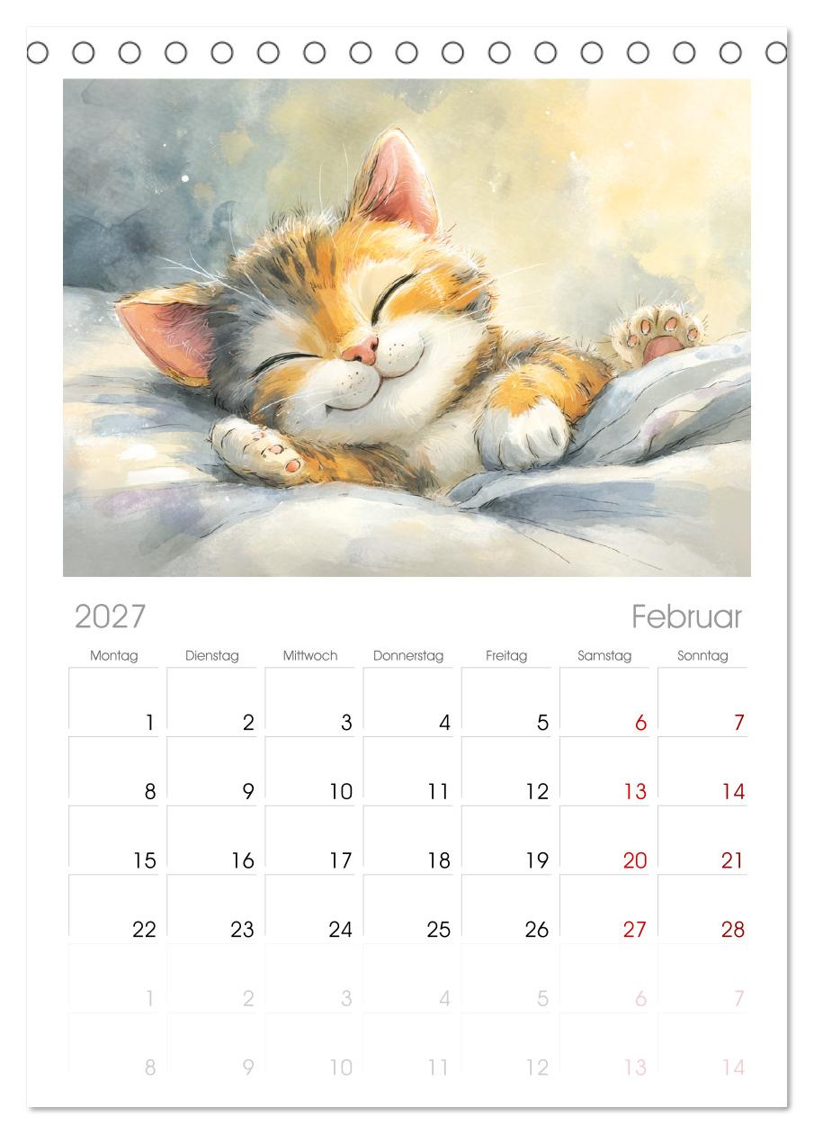 Pastellpfötchen. Liebliche Katzen in sanften Farben