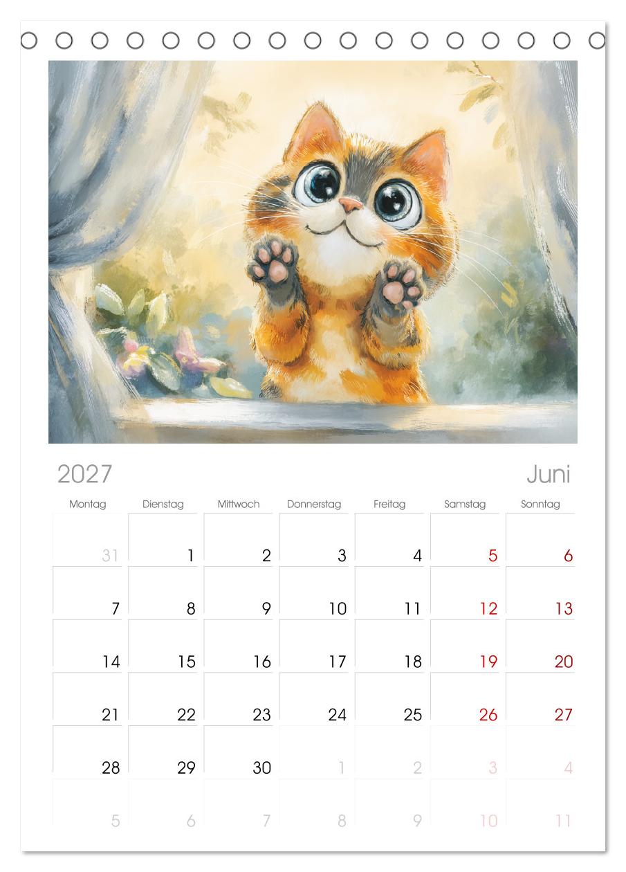 Pastellpfötchen. Liebliche Katzen in sanften Farben