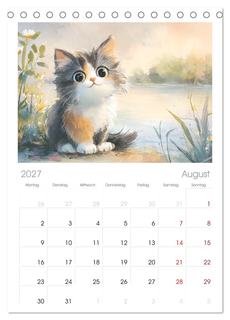 Pastellpfötchen. Liebliche Katzen in sanften Farben
